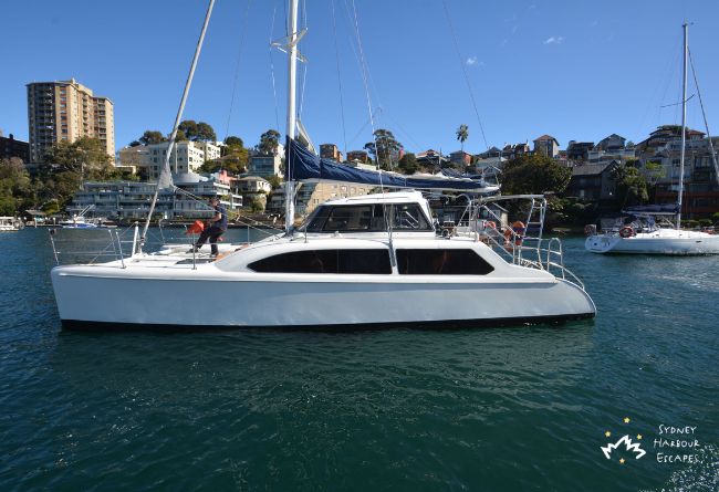 DELPHINUS 32ft Catamaran
